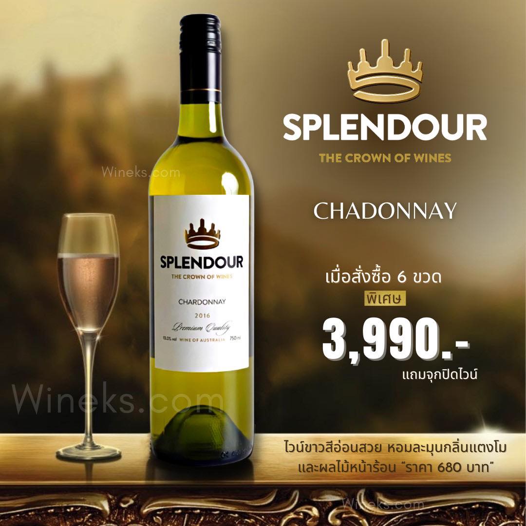 สัมผัสประสบการณ์ไวน์ที่หรูหรา กับ Splendour Chardonnay