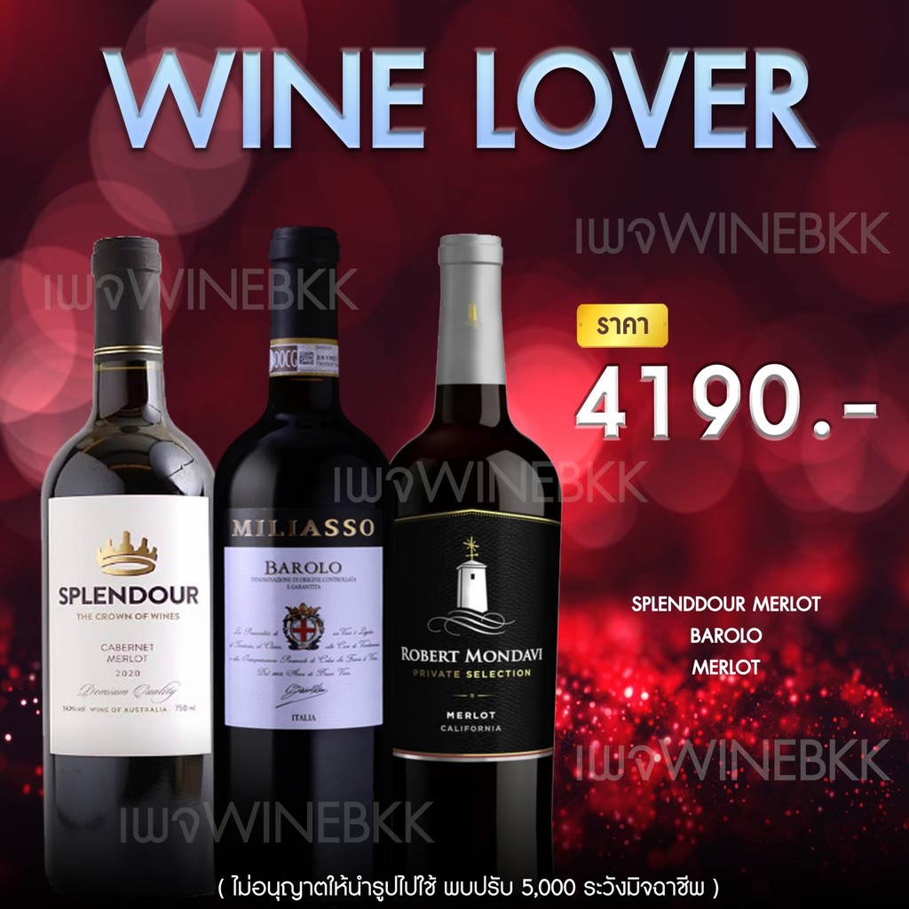 Wine Lover: ปลดล็อกโลกแห่งรสชาติในขวดเดียว!
