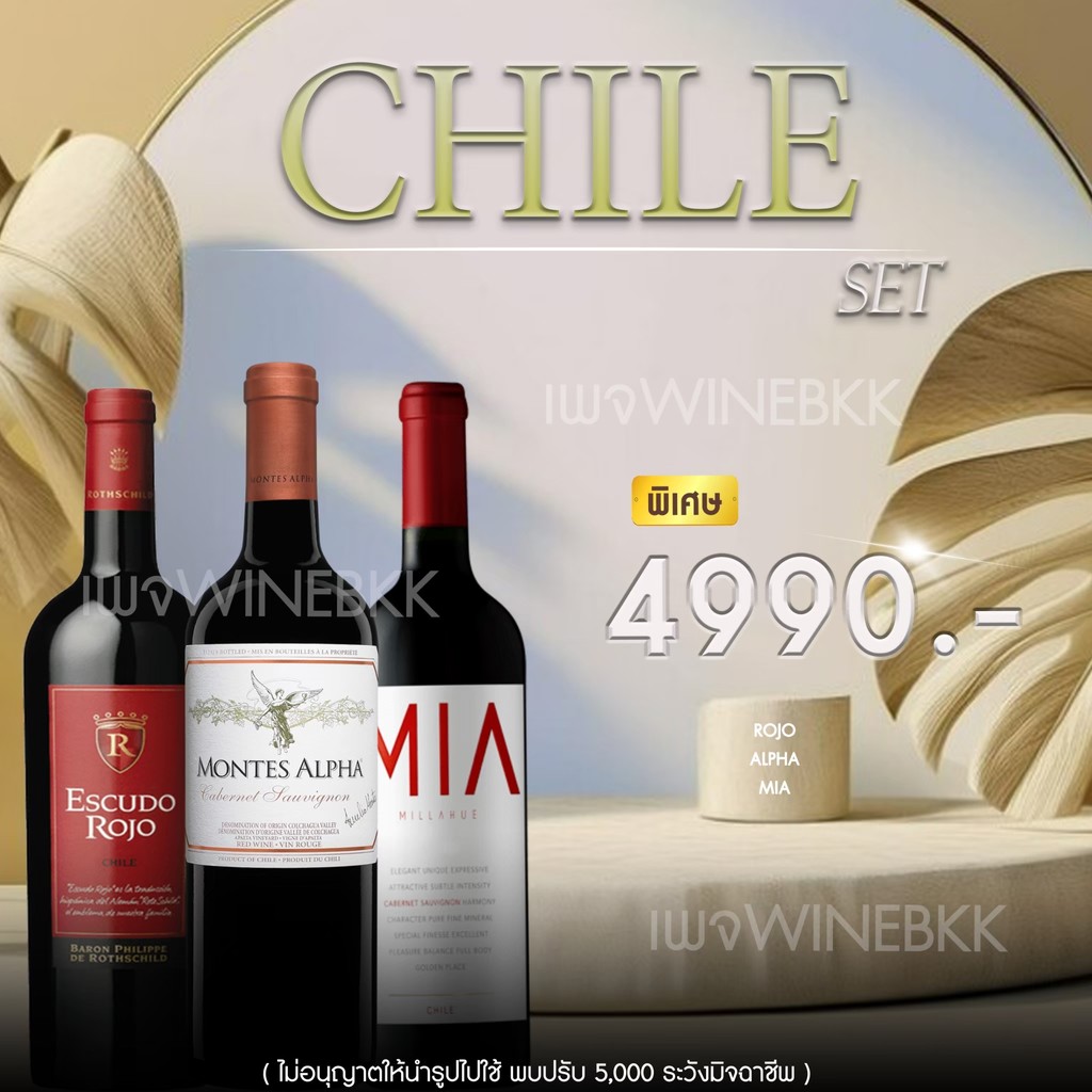 สัมผัสรสชาติแห่งความหรูหรา … สำหรับคนรักไวน์